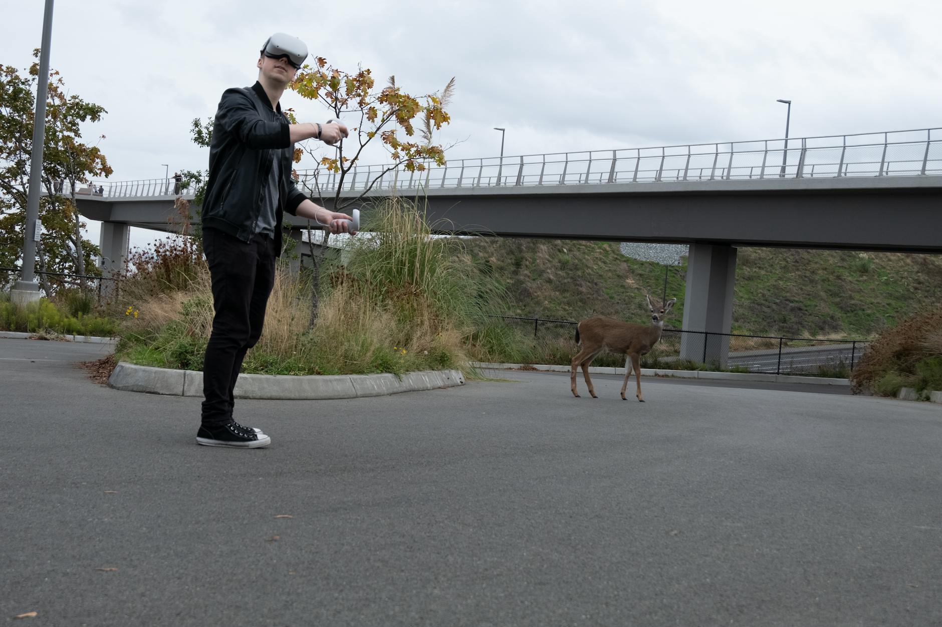 Battle Royale: La Odisea de la Supervivencia en el Corazón del Gaming Moderno